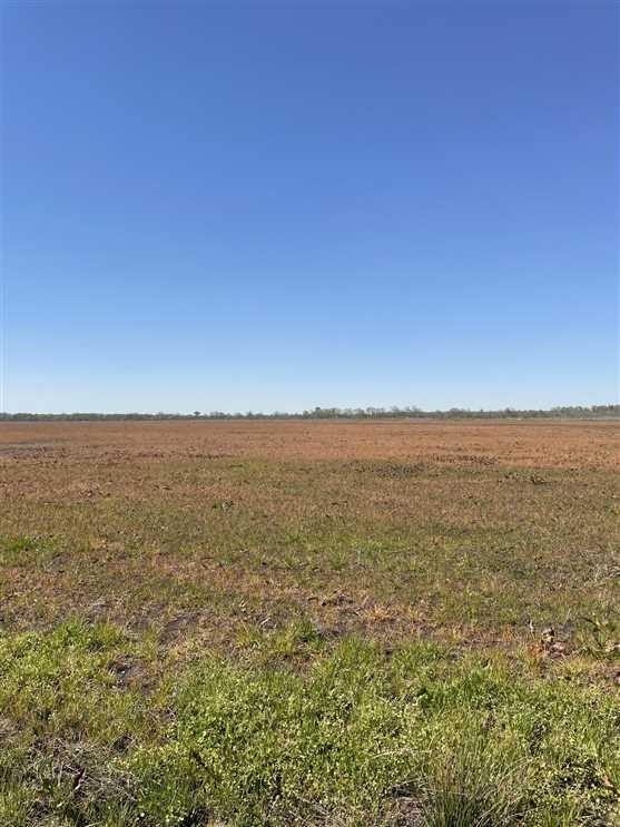 320 Acres of Land for Sale in little river County, Arkansas