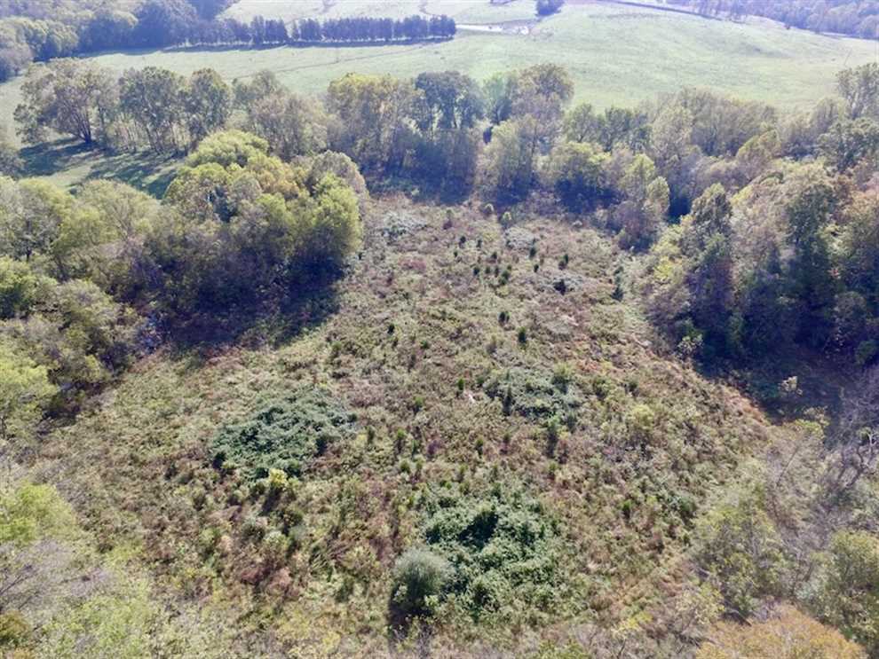 30.79 Acres of Recreational Land For Sale in Lunenburg County VA! Real estate listing