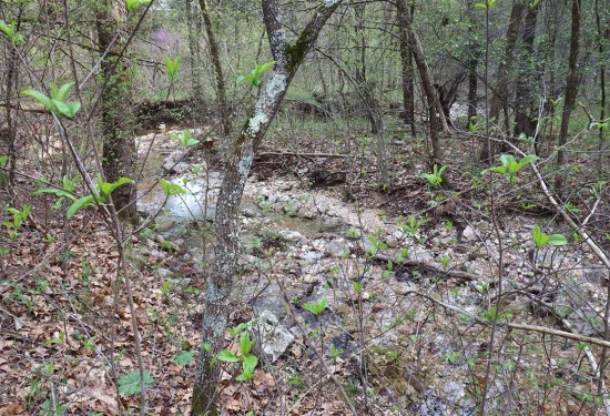 10 Acres of Land for Sale in carroll County Arkansas