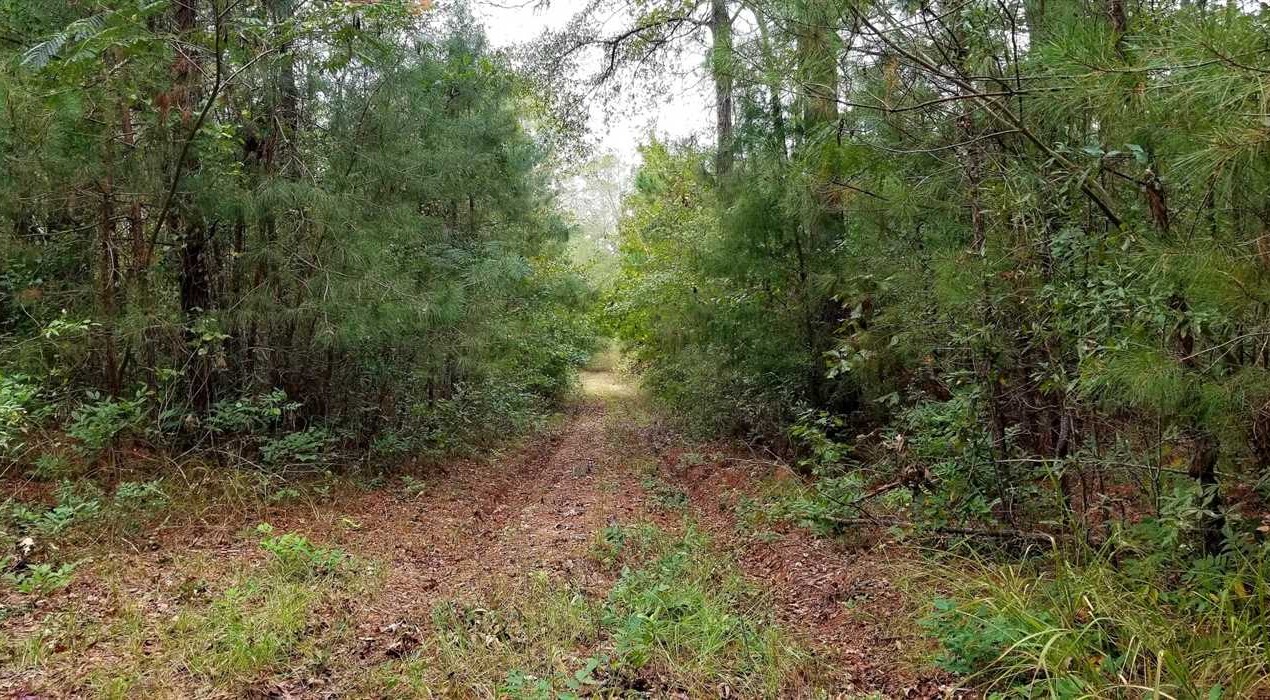 19 Acres of Land for sale in winn County, Louisiana