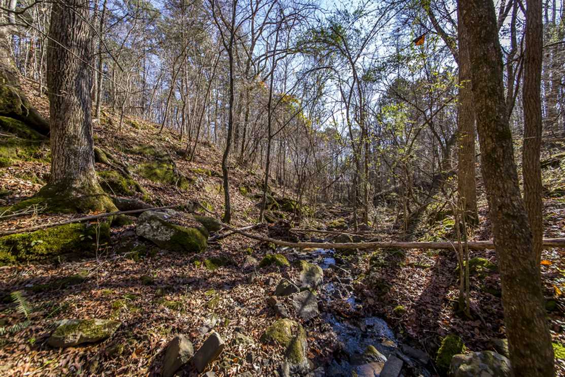 Property for sale at Highway 65 North