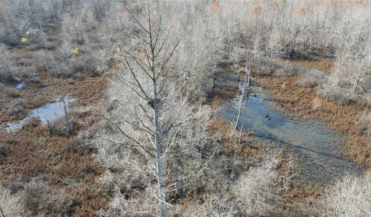 $50K PRICE ADJUSTMENT-269 Acres of Deer, Duck and Turkey, Stewarded by Wildlife Biologist Owner Real estate listing