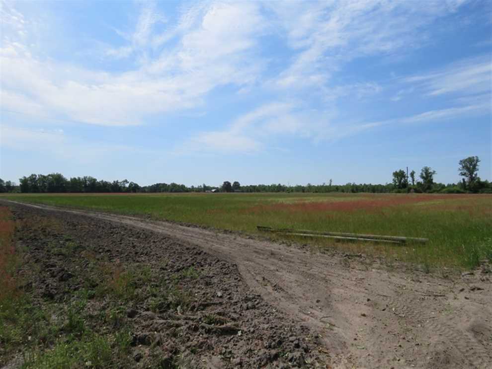 3.38 Acres of Residential land for sale in Fairmont, robeson County, North Carolina
