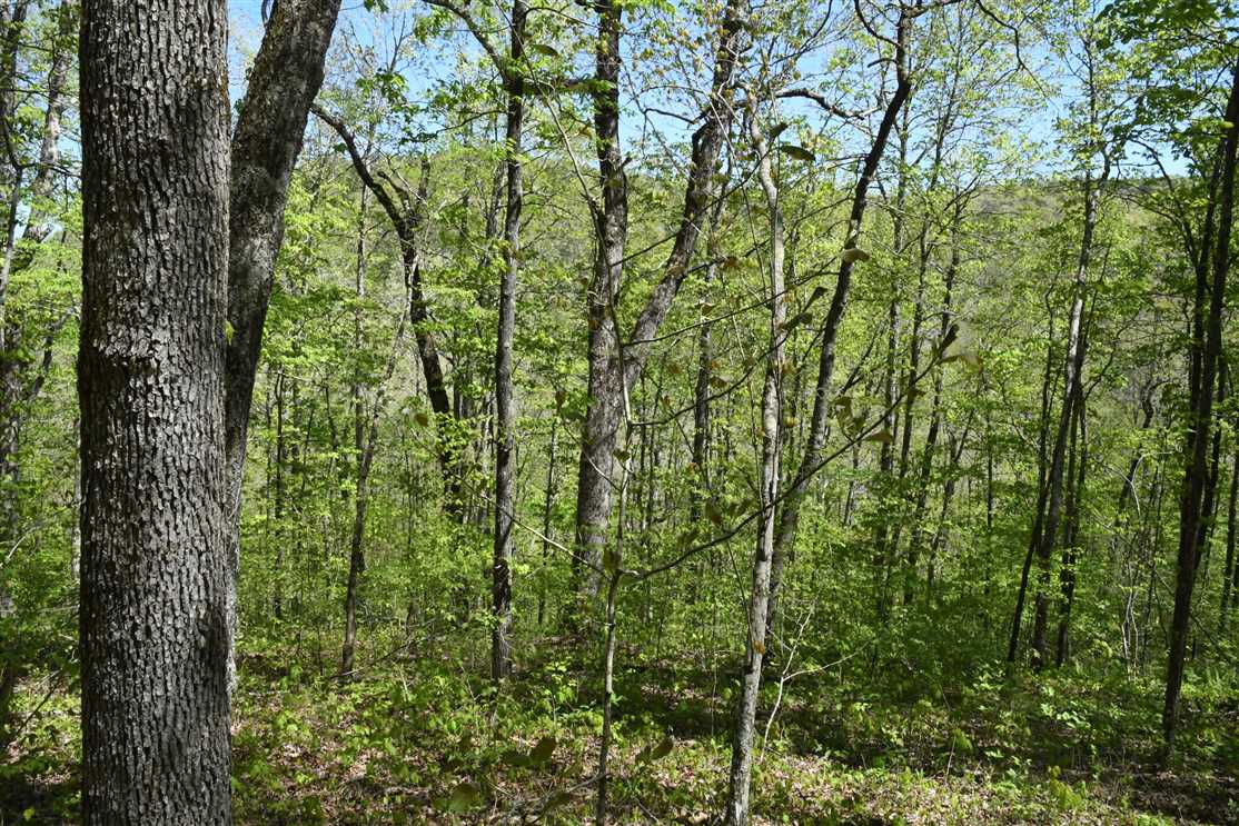 240 Acres of Land for sale in van buren County, Arkansas