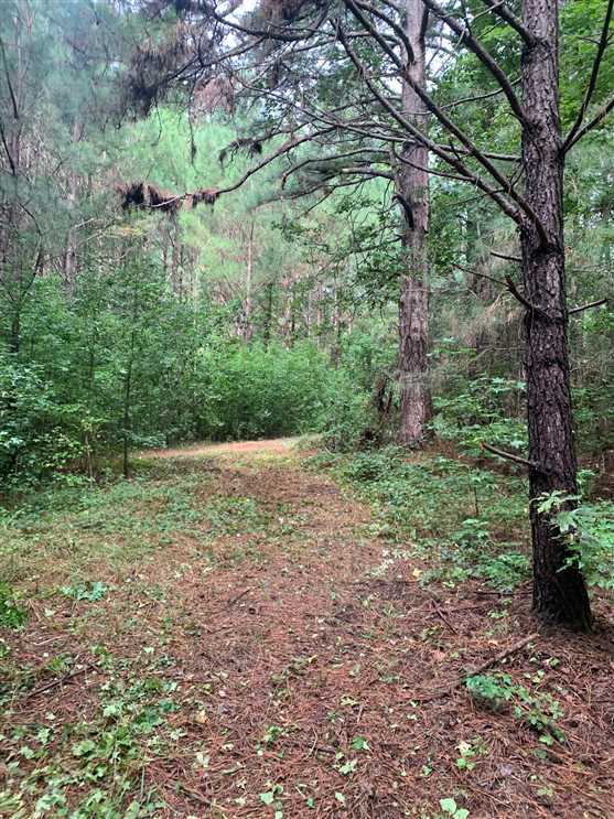 Houses and land for sale in Mississippi