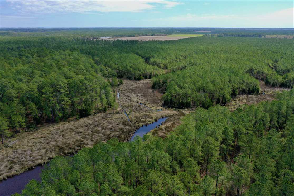 15.87 Acres of Waterfront Land For Sale in Hyde County NC! Real estate listing