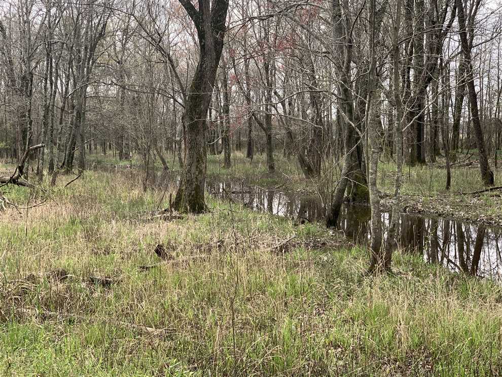 Houses and land for sale in Arkansas