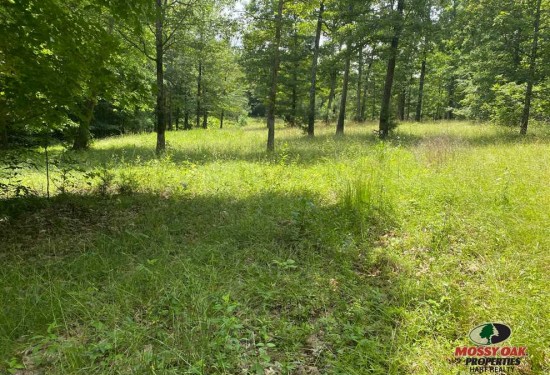 49 Acres of Land for Sale in calloway County Kentucky