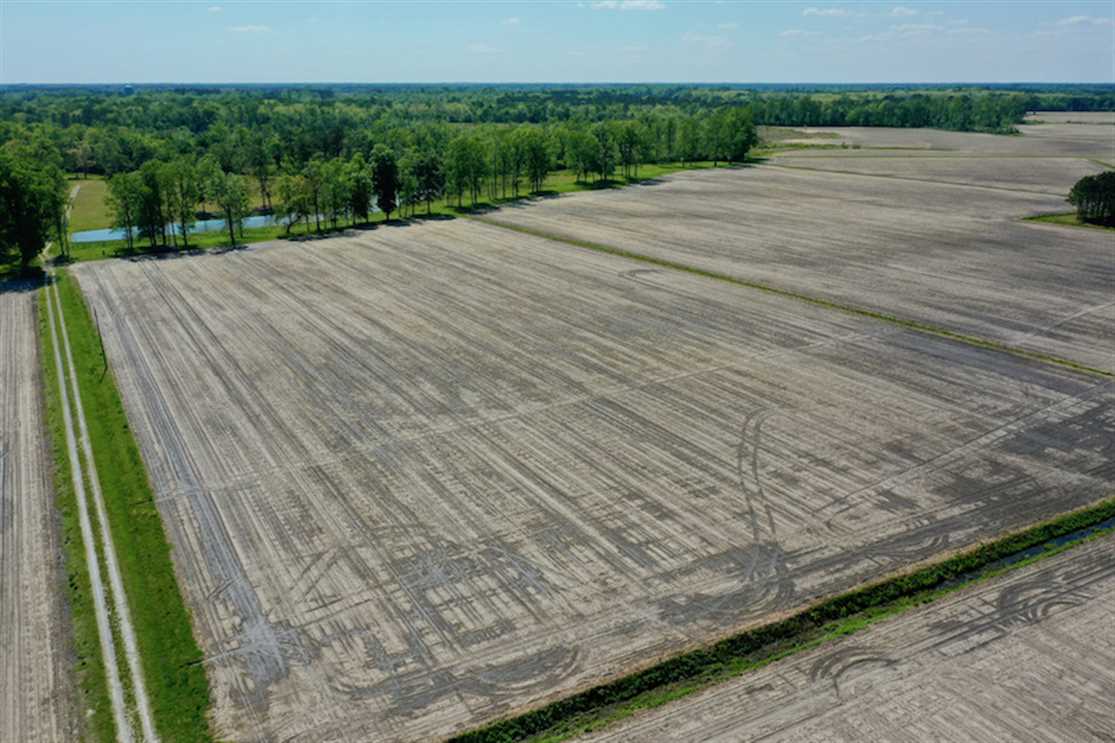 25.5 acre Homesite for Sale in Craven County NC! Real estate listing