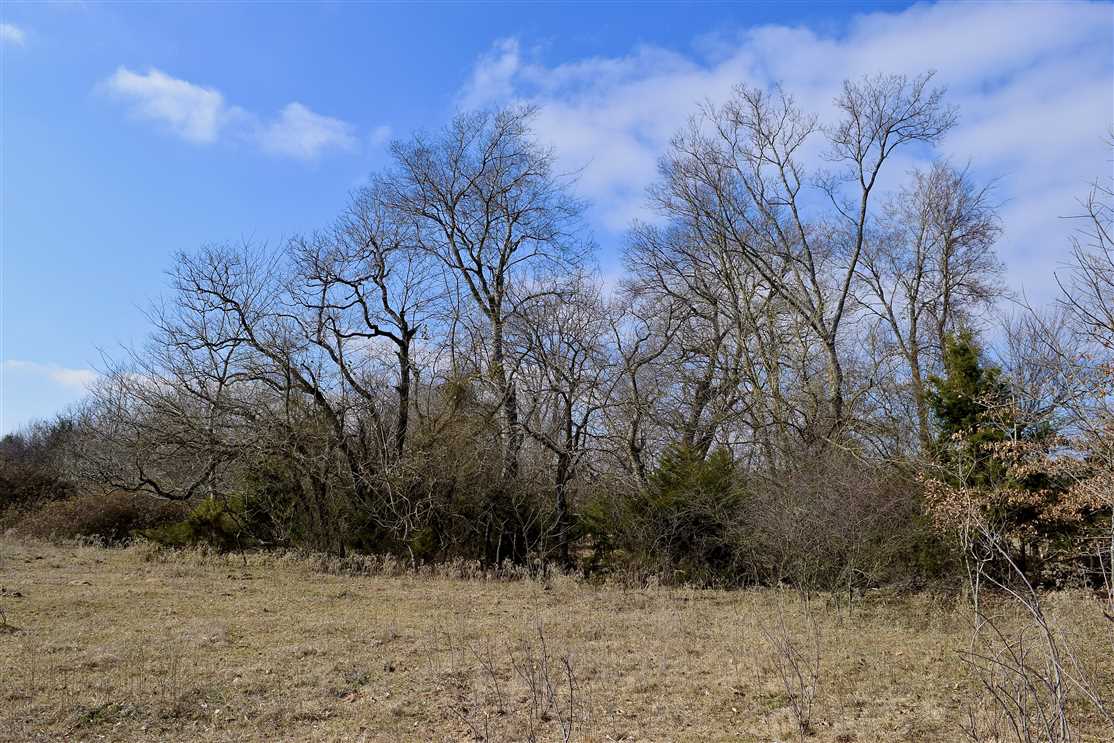 Property for sale at