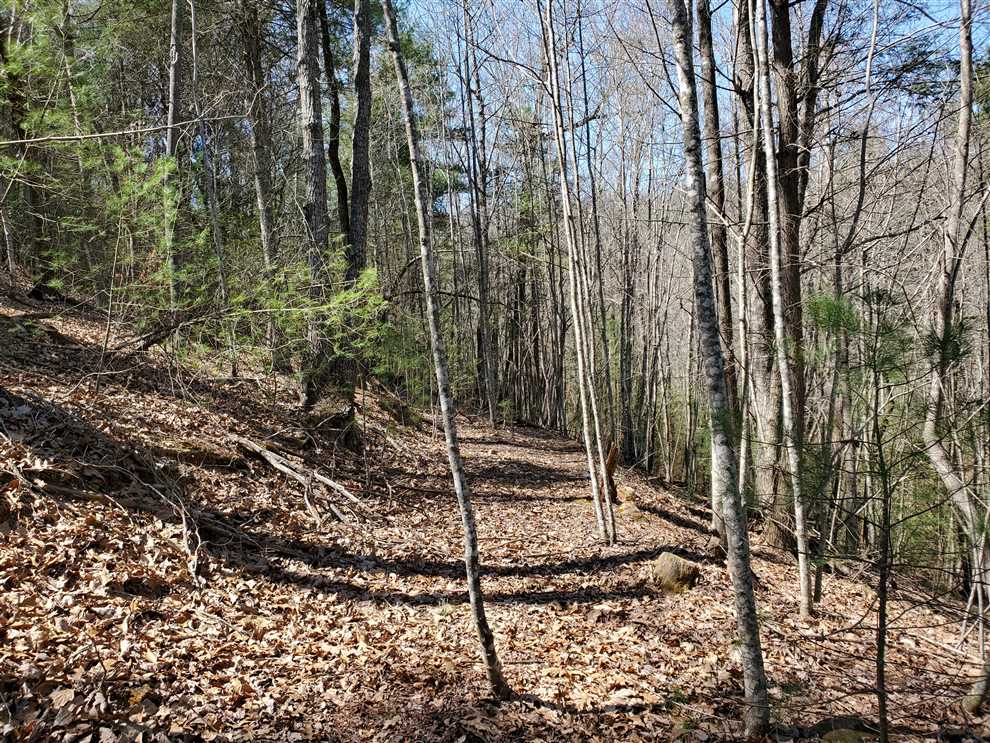 caldwell County, North Carolina property for sale