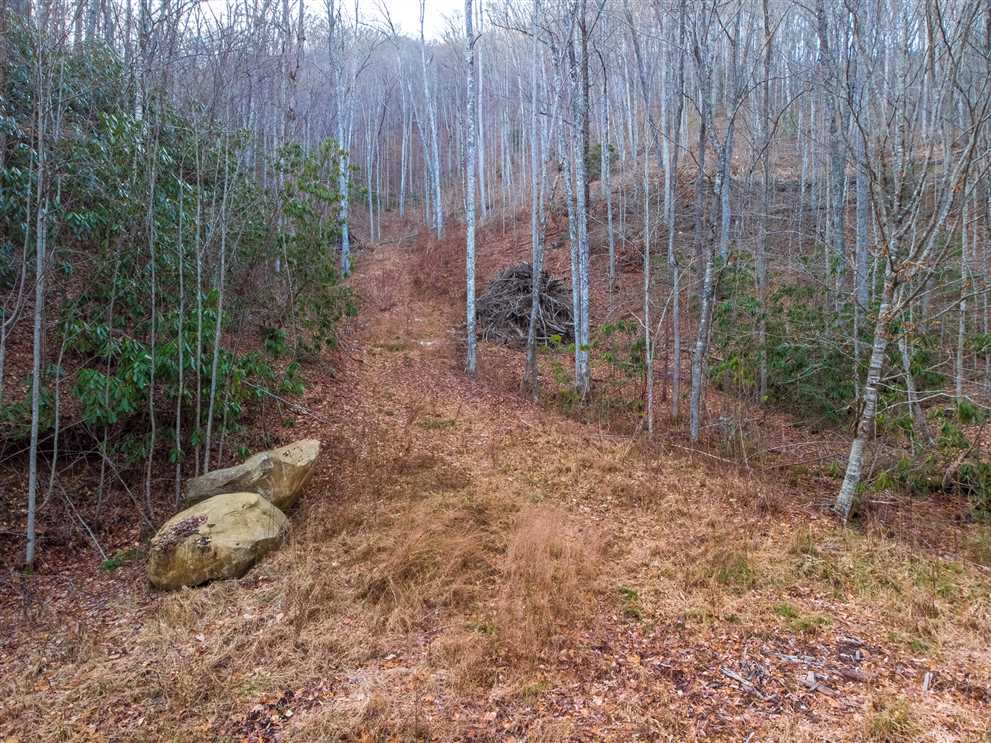Houses and land for sale in North Carolina