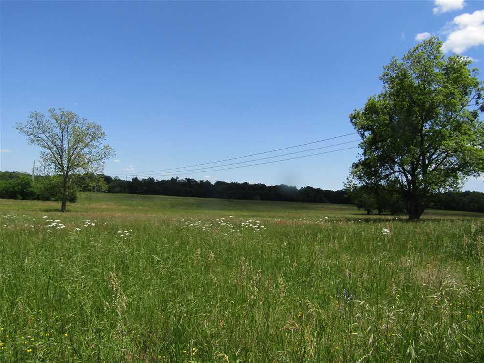 Residential and   property for sale on The Land Market