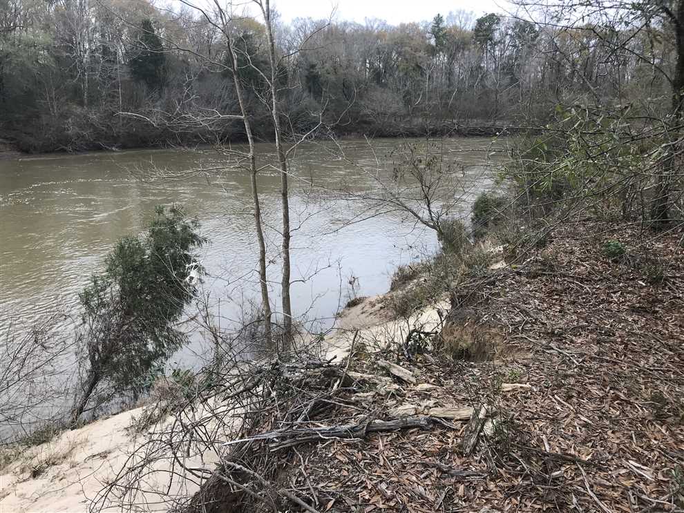 44 wooded acreage on the beautiful Luxapillila creek Real estate listing