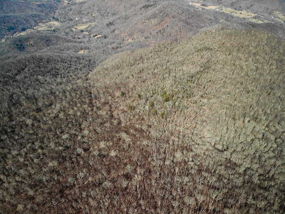 191.63 Acres of Residential land for sale in Weaverville, buncombe County, North Carolina