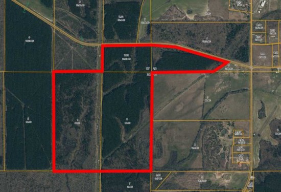 200 Acres of Land for Sale in pontotoc County Mississippi