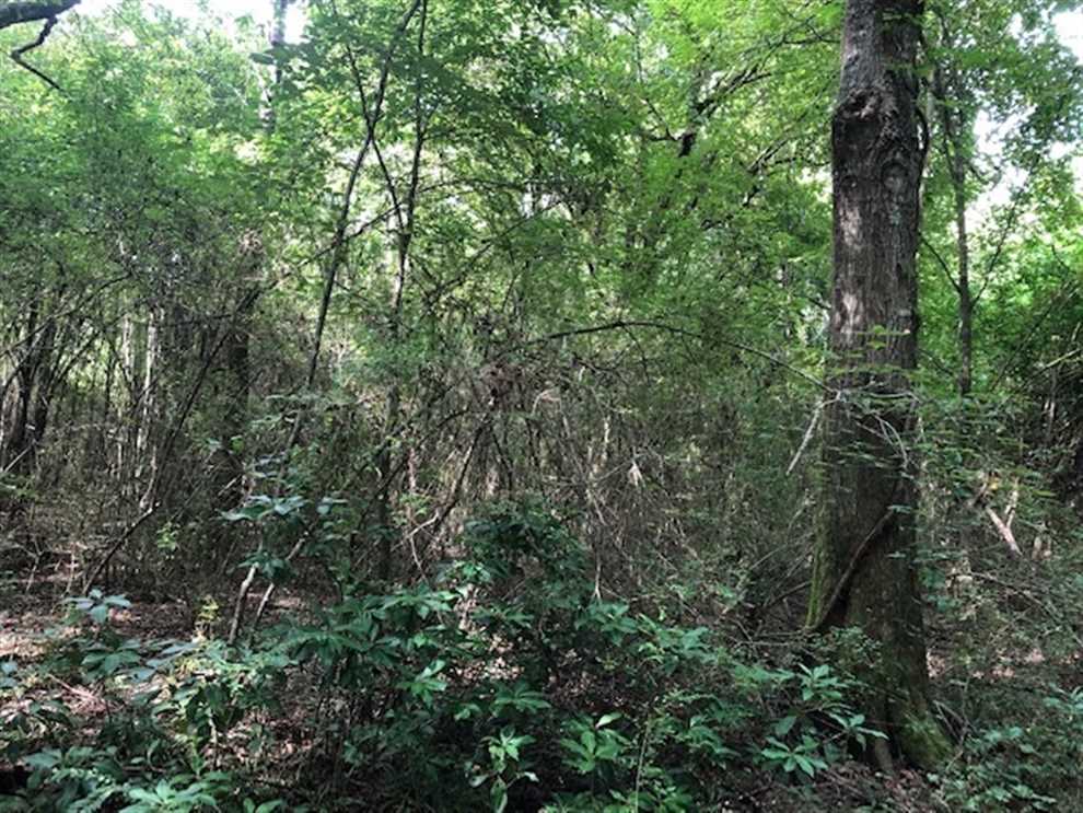 Land for sale to buy in  zip code