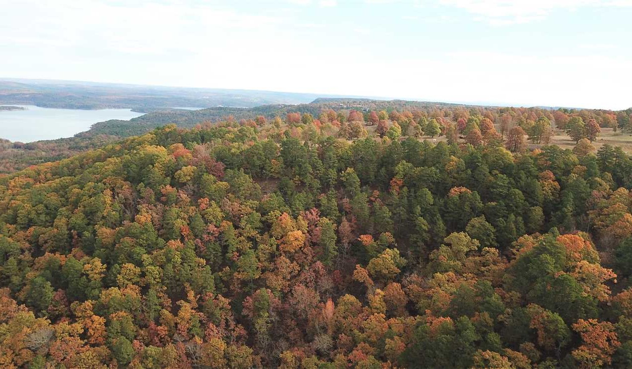 354 +/- Acre Lake View Development Real estate listing