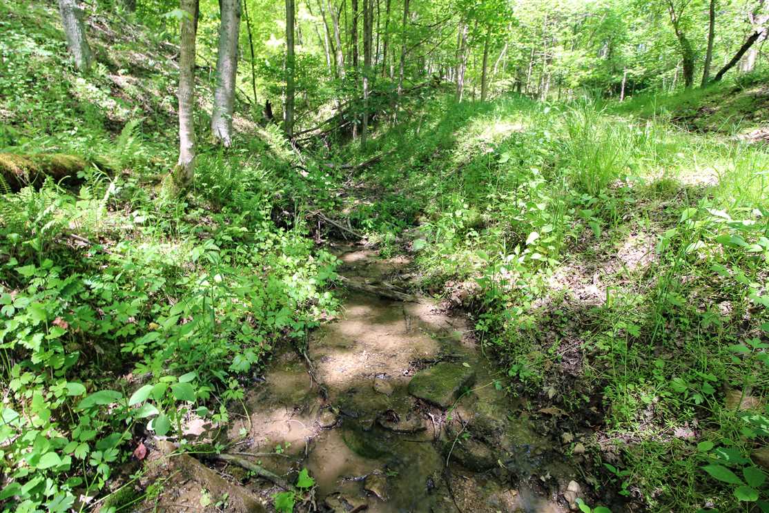 15.31 Acres of Recreational land for sale in Bloomingdale, jefferson County, Ohio