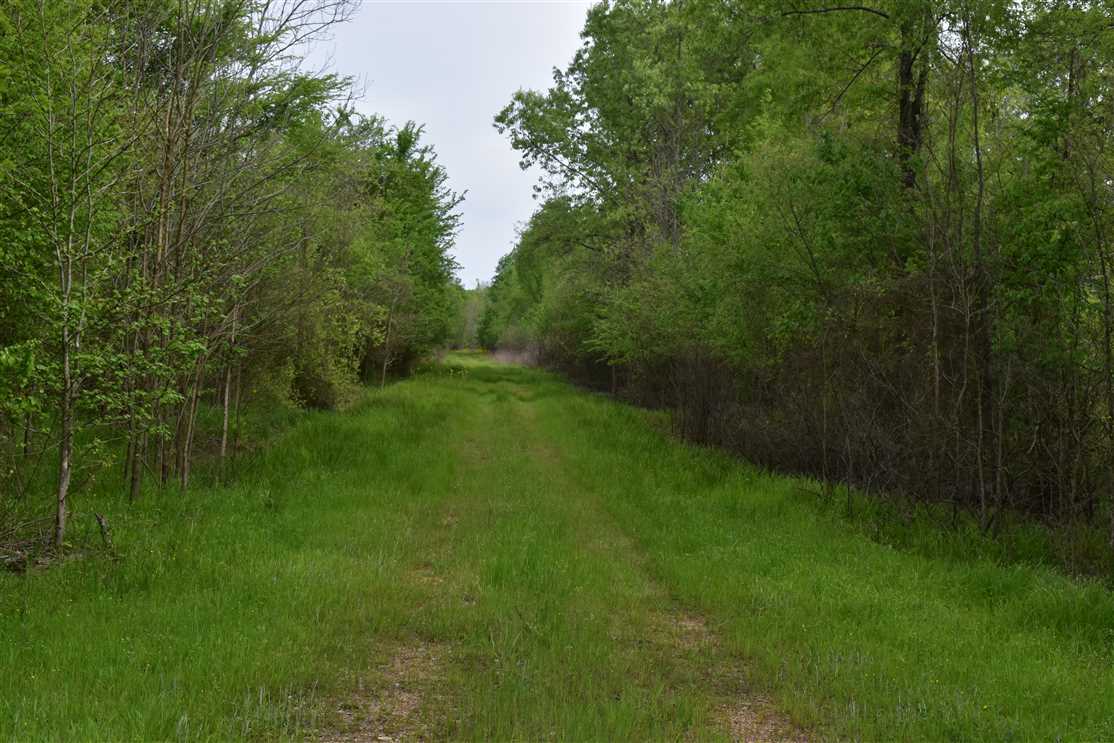 569 Acres of Recreational land for sale in Prescott, nevada County, Arkansas