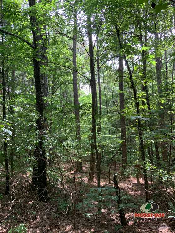 Recreational and   property for sale on The Land Market