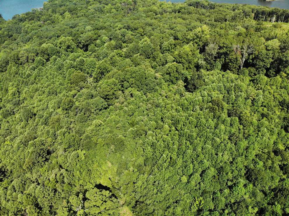 15+/- Acres in Denton, Davidson County Real estate listing