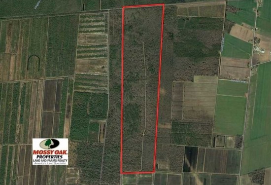 364 Acres of Land for Sale in hyde County North Carolina