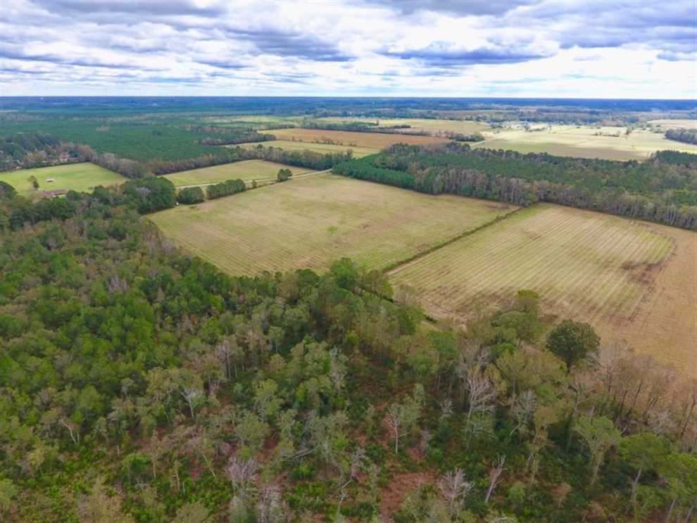 54 Acres of Recreational land for sale in Greenville, pitt County, North Carolina