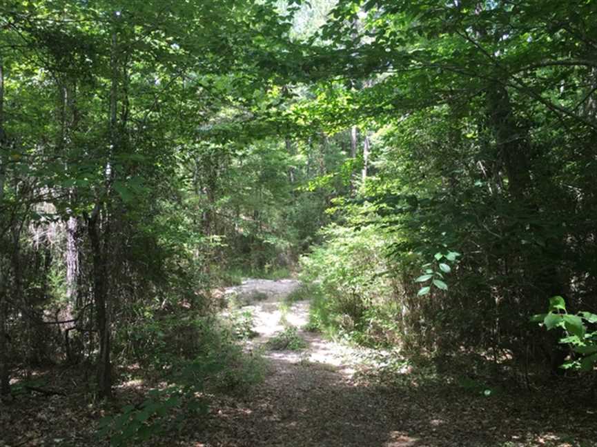 Land for sale to buy in 71429 zip code