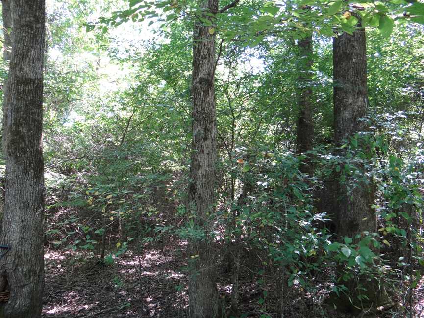 Property for sale at