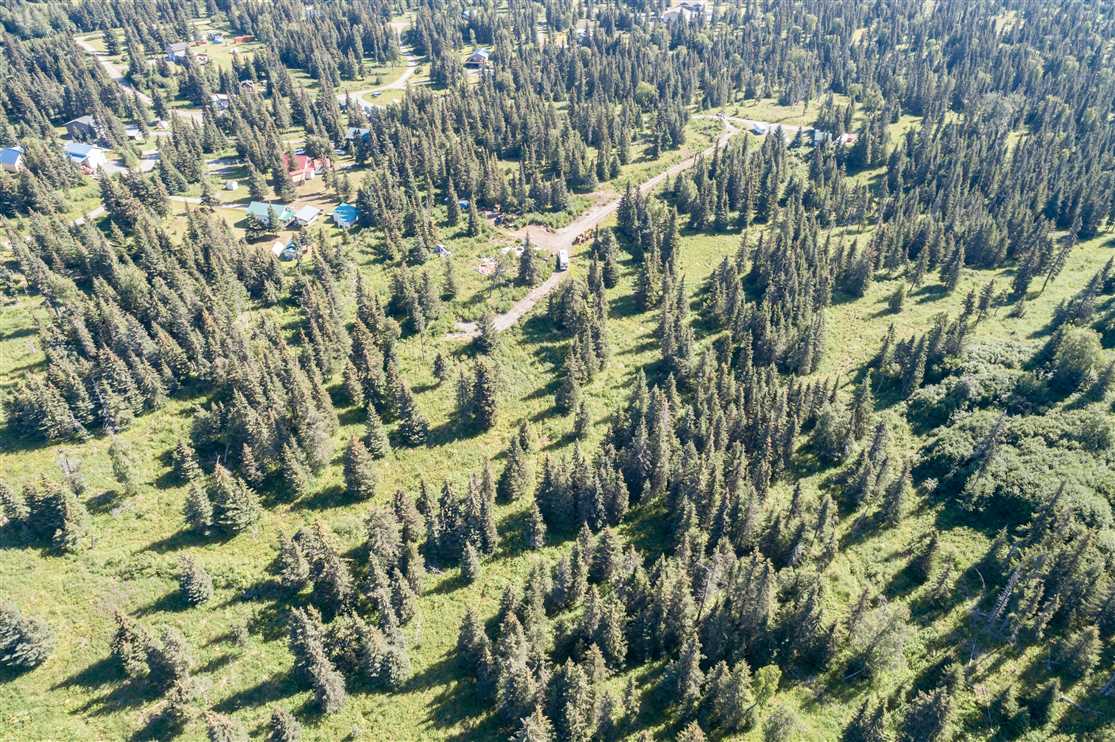 10 Acres of Residential land for sale in Ninilchik, kenai peninsula County, Alaska