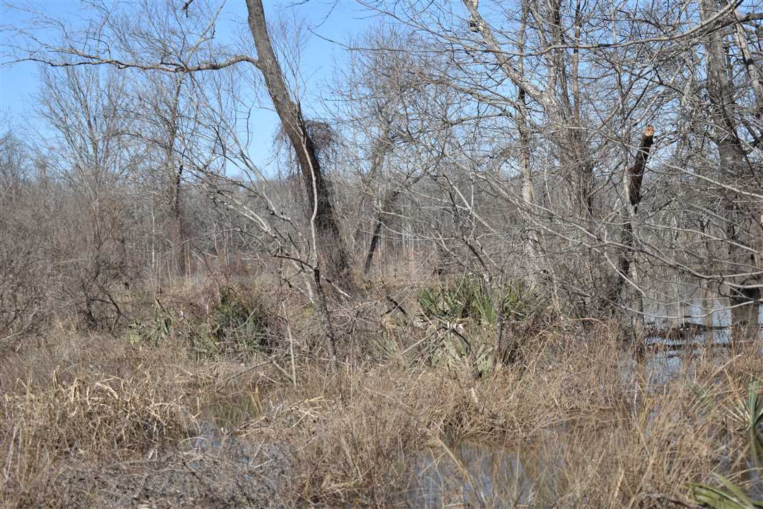 County Line Real estate listing