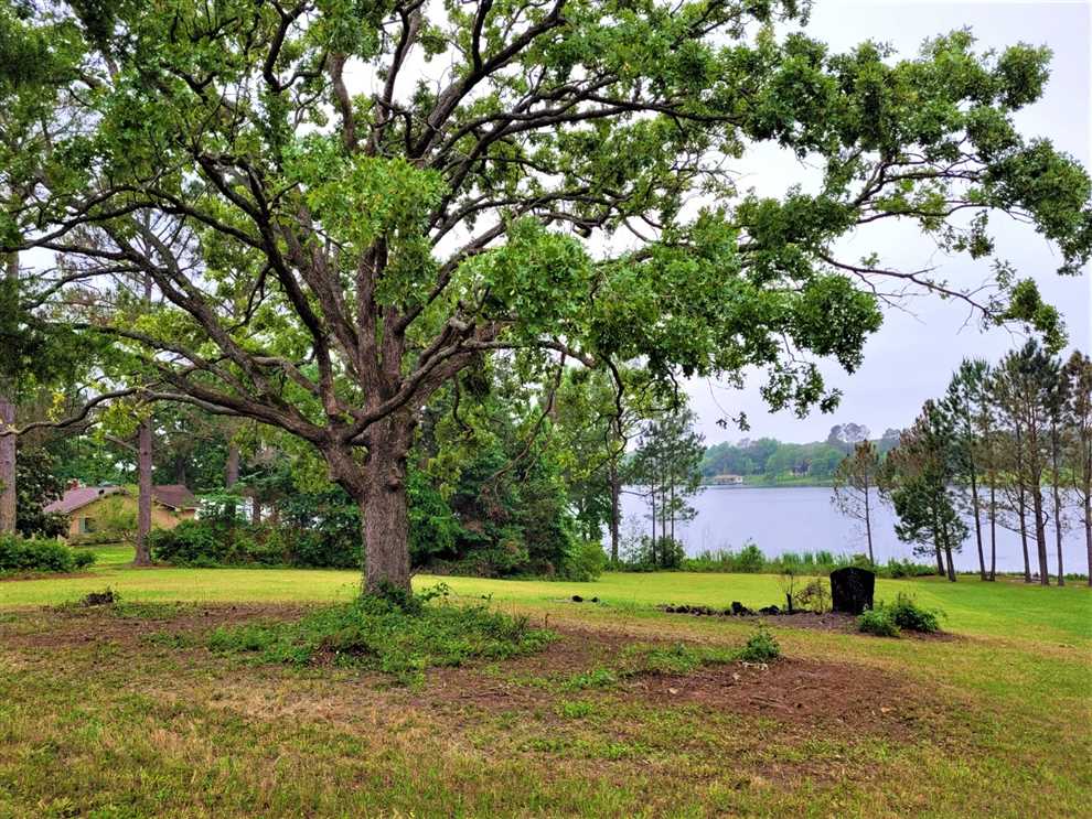 Houses and land for sale in Texas
