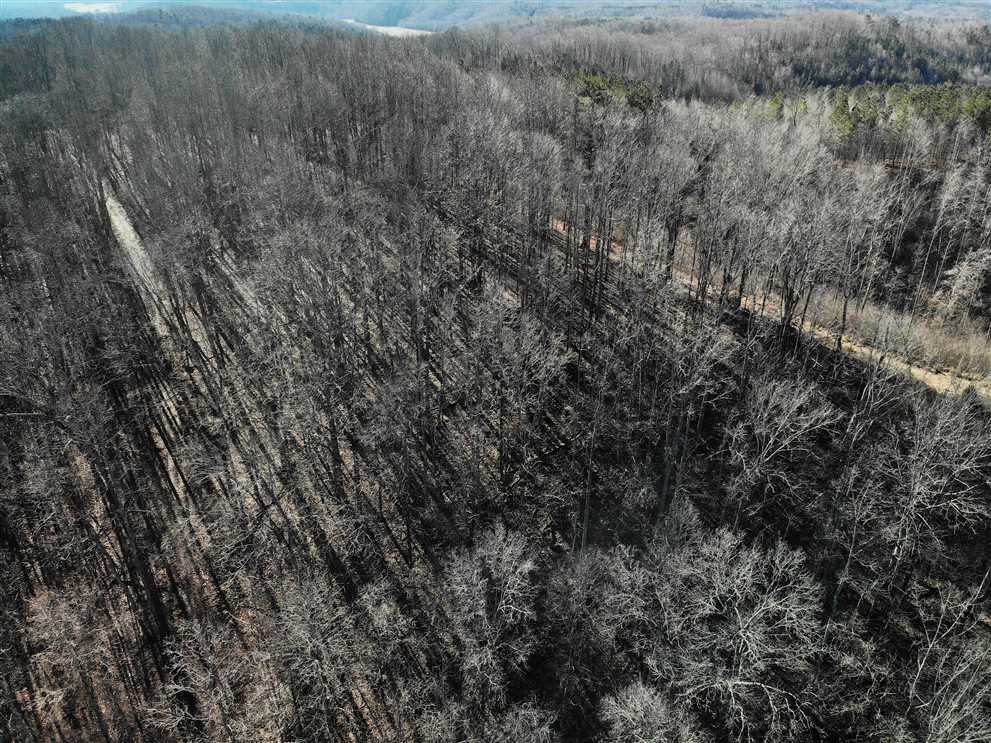 surry County, North Carolina property for sale