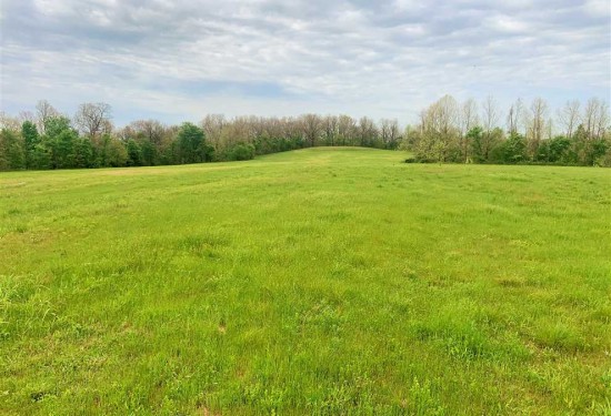 106 Acres of Land for Sale in mcdonald County Missouri