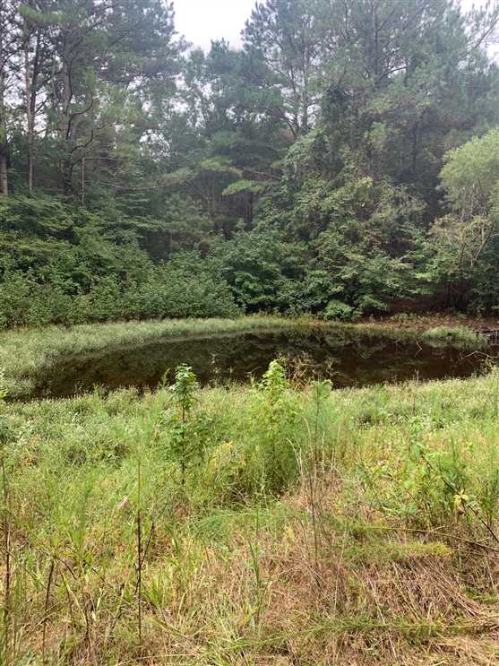 Land for sale to buy in 38876 zip code