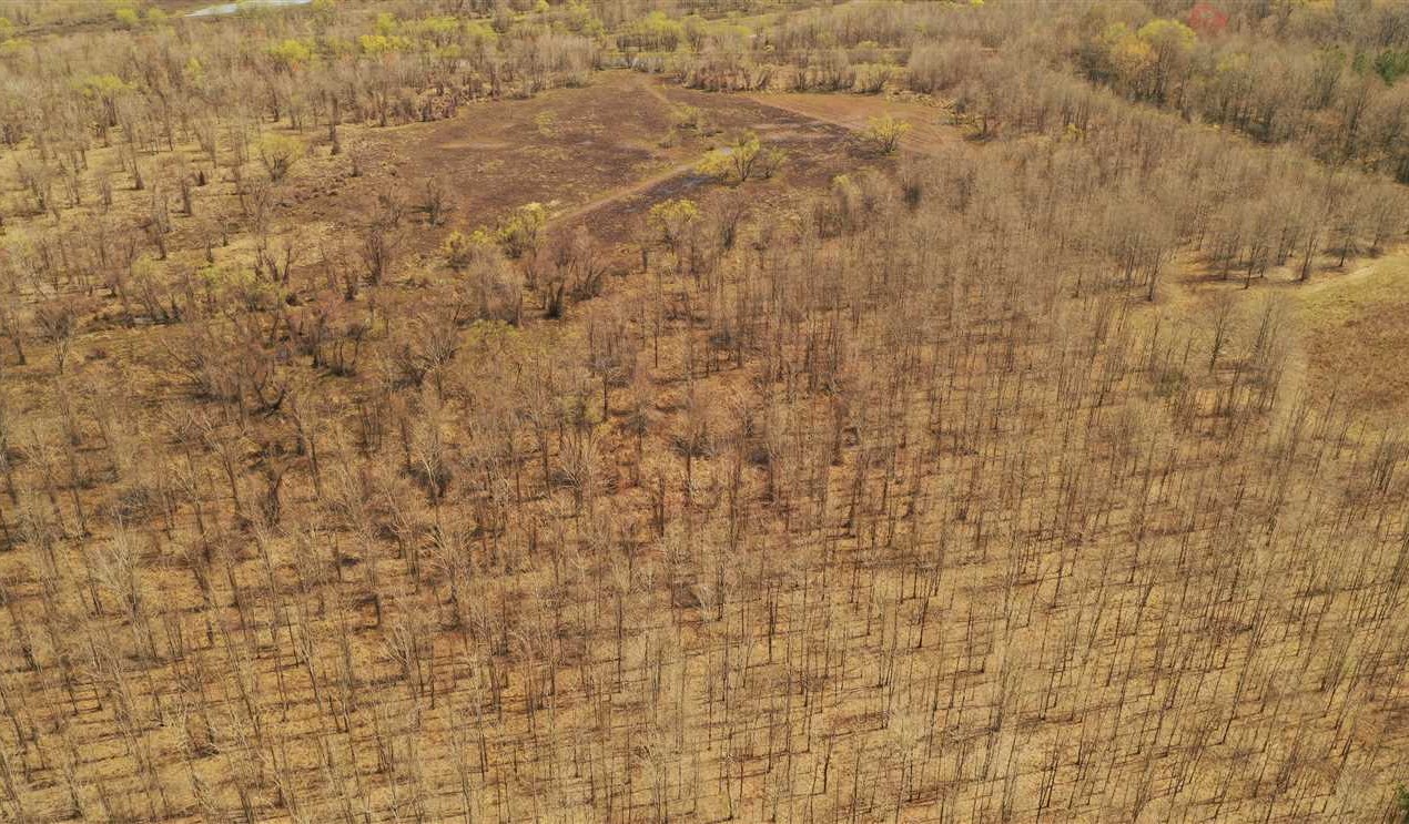 Awesome Recreational Tract minutes from south Starkville!!! Real estate listing