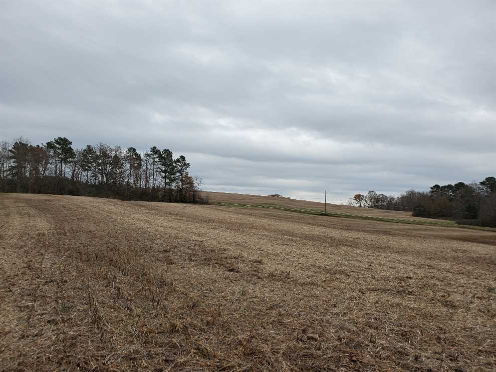 Residential and   property for sale on The Land Market