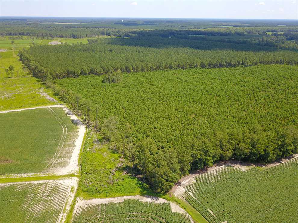 bertie County, North Carolina property for sale