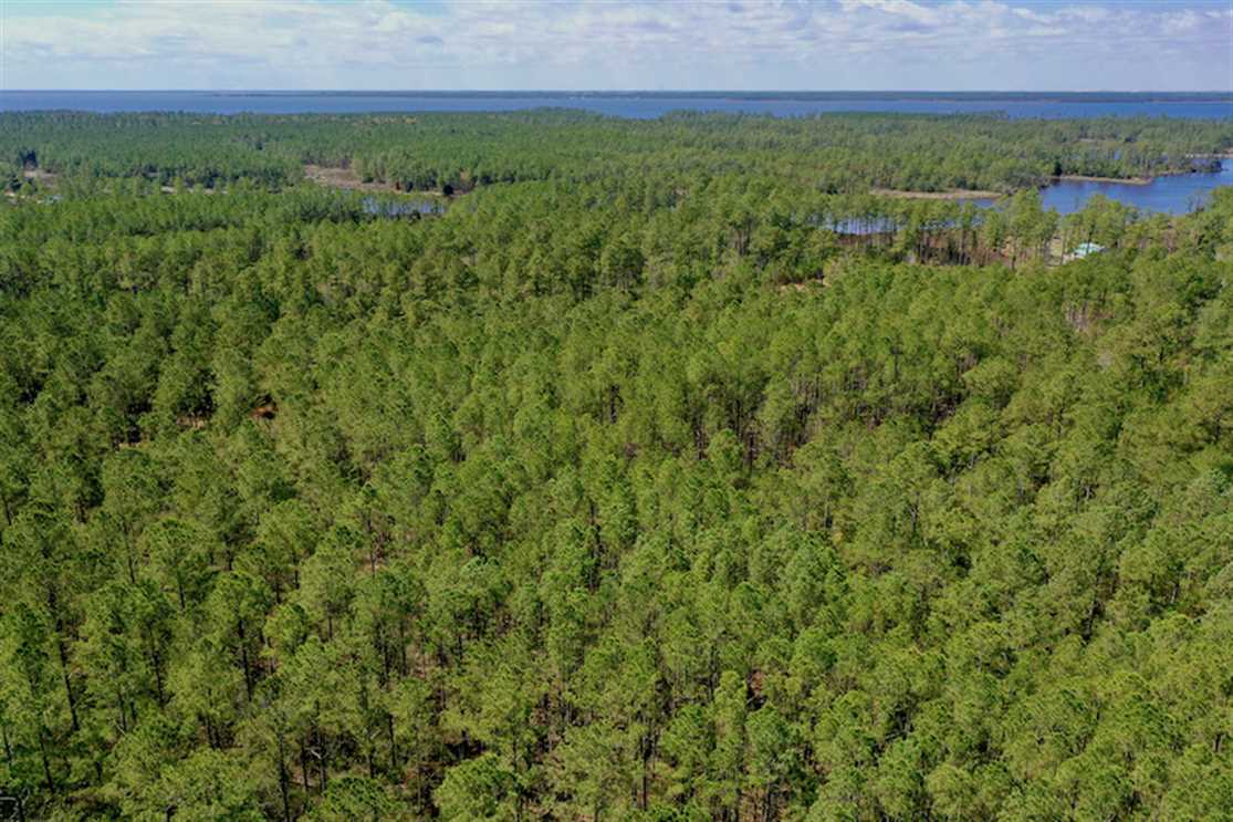 Land for sale to buy in 27875 zip code