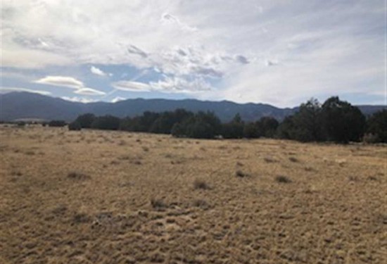 35.76 Acres of Land for Sale in fremont County Colorado