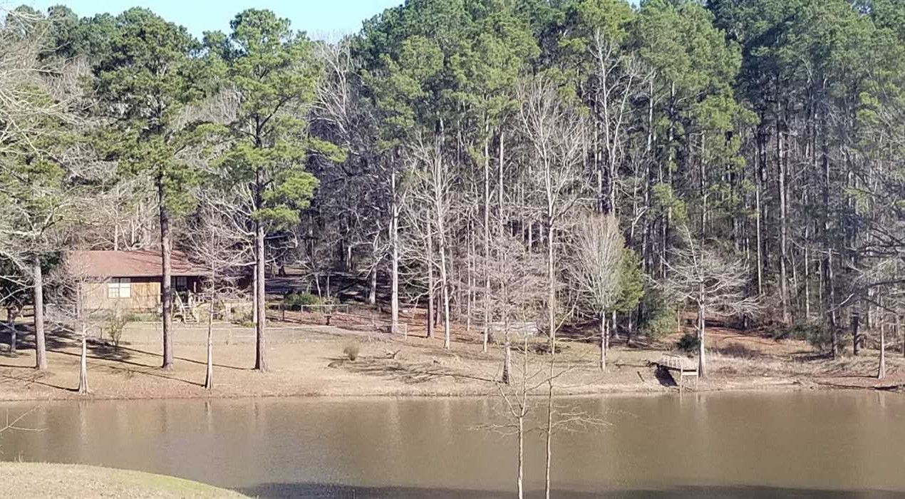 14.7 Acres of Land for Sale in sabine County Louisiana