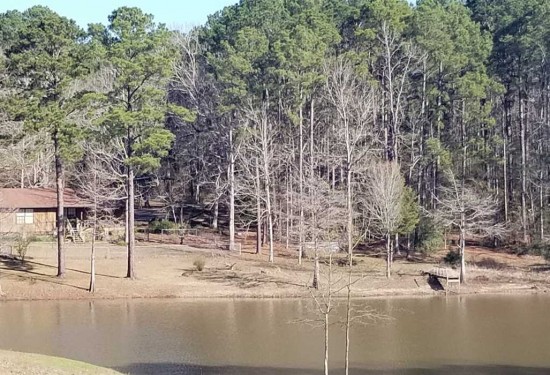 14.7 Acres of Land for Sale in sabine County Louisiana