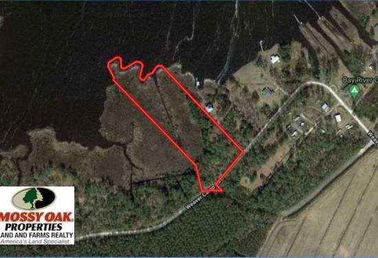 5.6 Acres of Land for Sale in pamlico County North Carolina