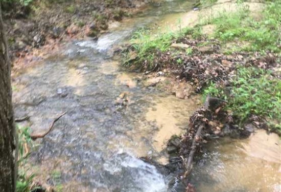 5.5 Acres of Land for Sale in sharp County Arkansas