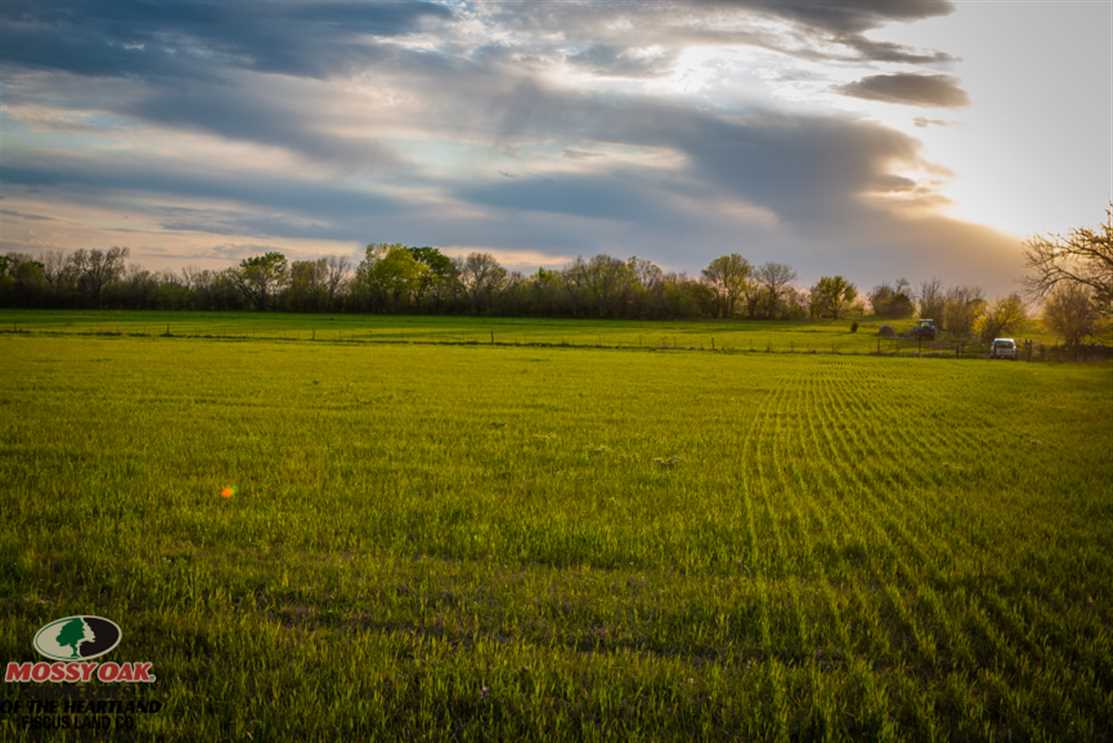 Land for sale at