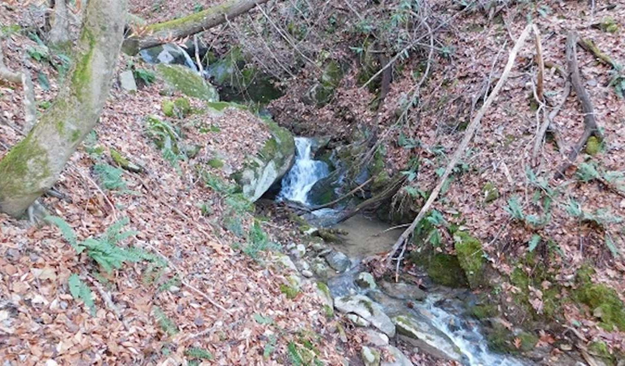Land for sale at 354 Farris Mines Rd.