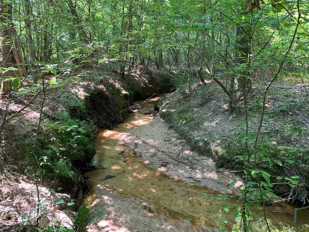 200 Acres of Land for sale in union County, Louisiana