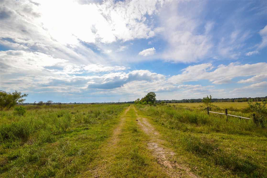 Timberland real estate available to buy
