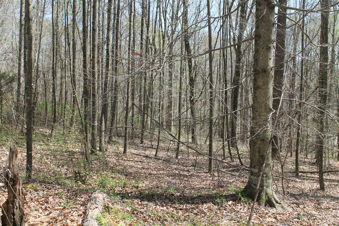 42.5 Acres of Recreational land for sale in Red Boiling Springs, macon County, Tennessee